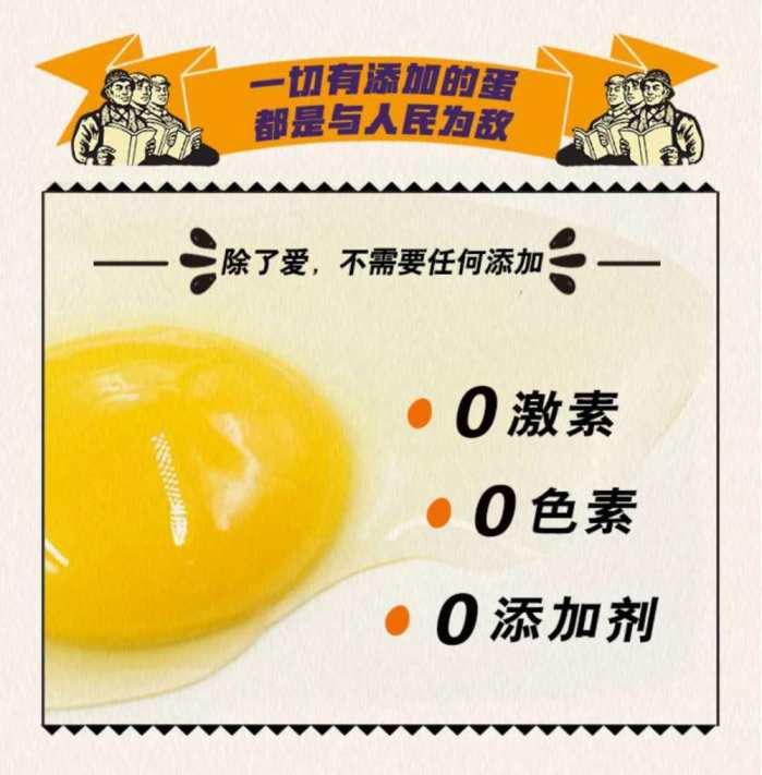 每天一個(gè)土元雞蛋 營養又健康