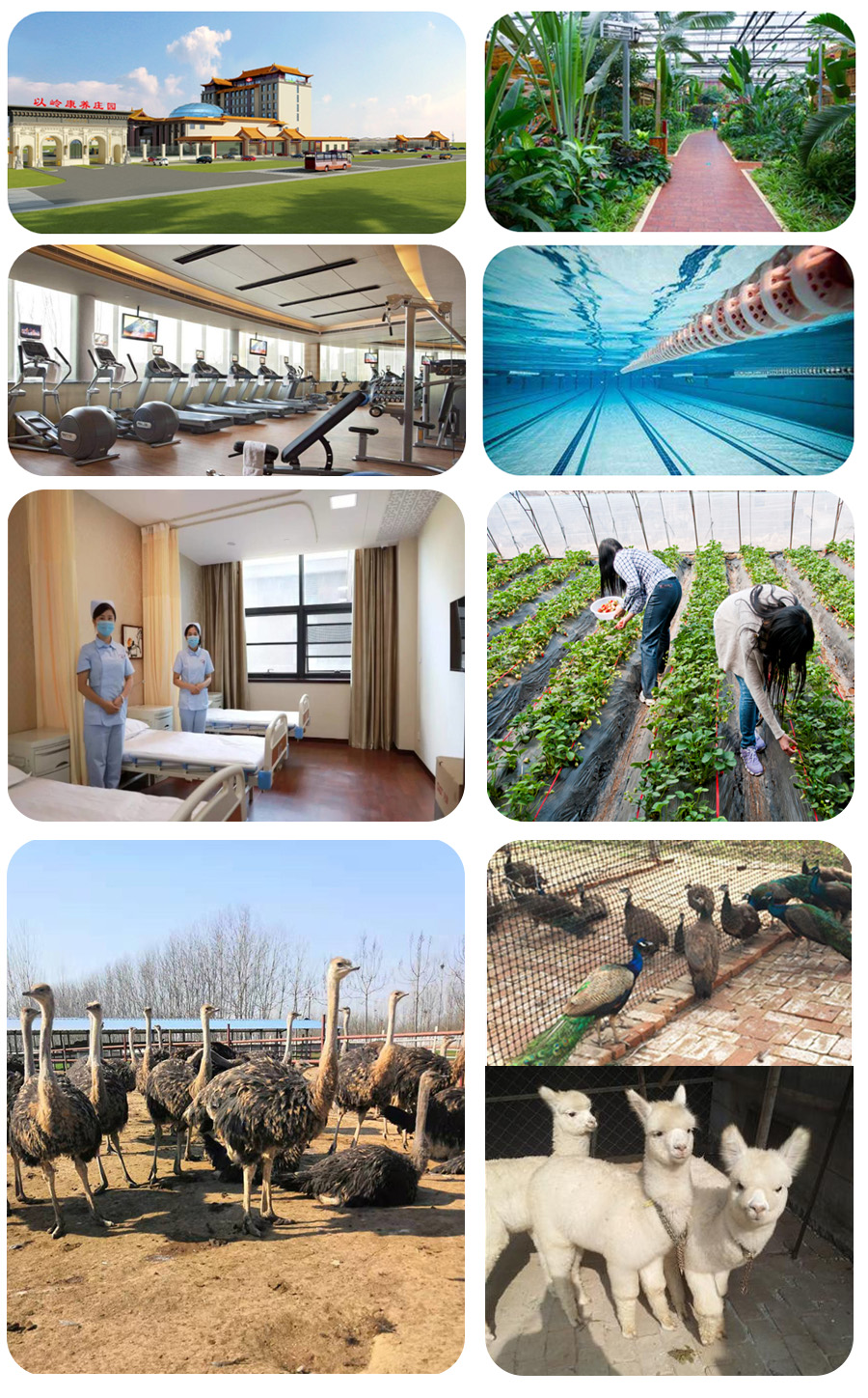 旅遊觀光(guāng)