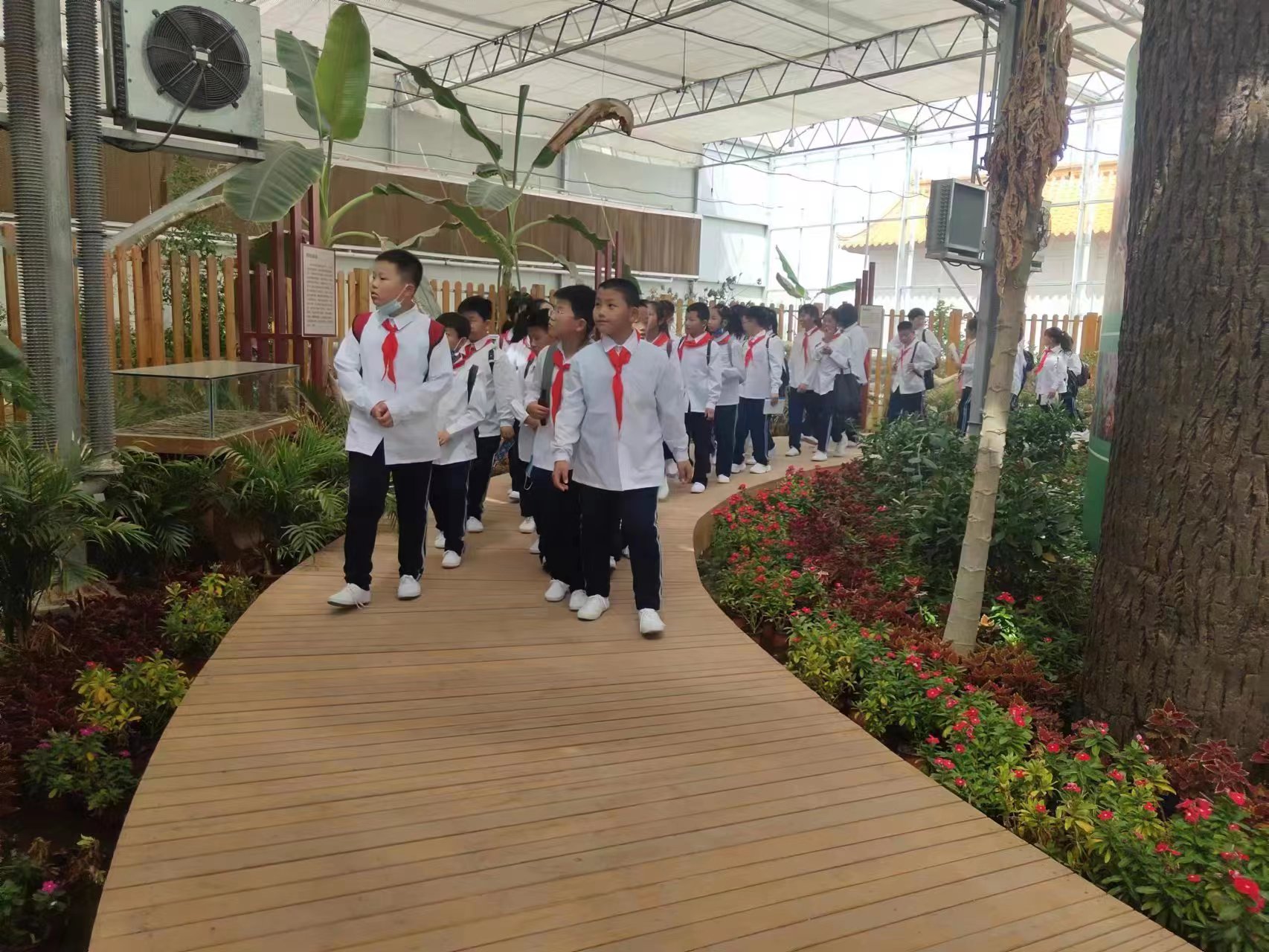 各地中小學生來(lái)茂豐金蟬科普示範基地研學