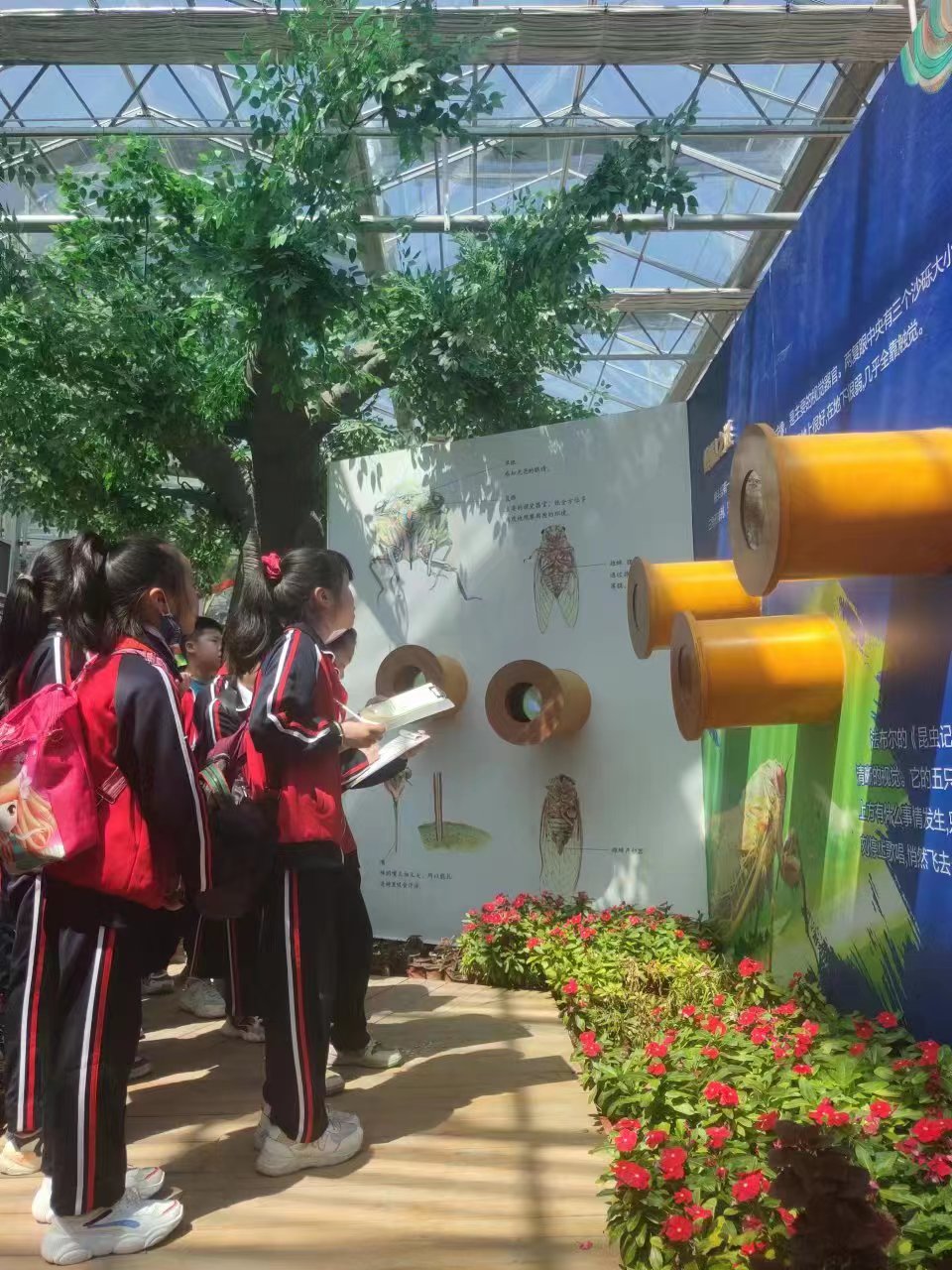 各地中小學生來(lái)茂豐金蟬科普示範基地研學